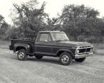 Ford F-150 1973 года